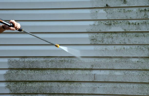 Best Patio and Deck Pressure Washing  in St Anthony, MN